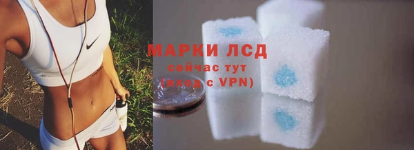 сатива Осташков