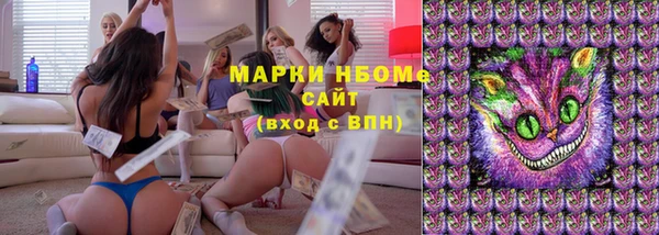 сатива Осташков