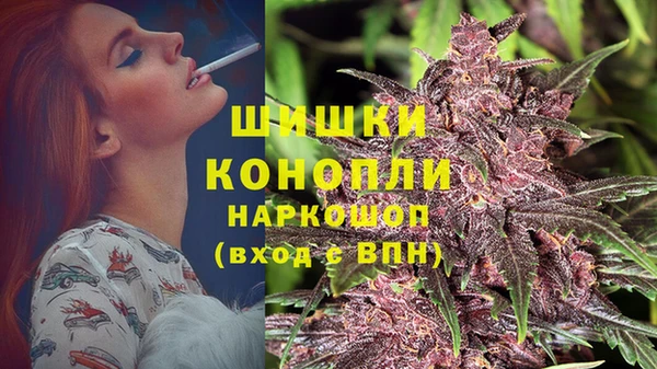 2c-b Бородино