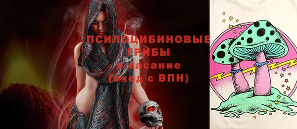 тгк Богданович