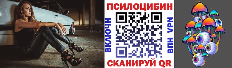 купить закладку  Кингисепп  Псилоцибиновые грибы Magic Shrooms 