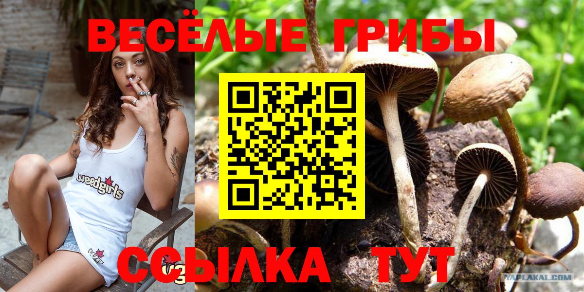 Канабис  COCAIN  МАРИХУАНА  Кингисепп  A PVP СК кристаллы  Мефедрон   Мефедрон кристаллы  ГАШИШ 