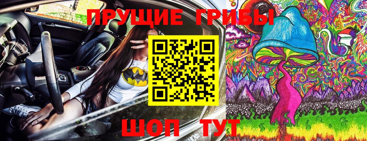 Псилоцибиновые грибы Cubensis Кингисепп