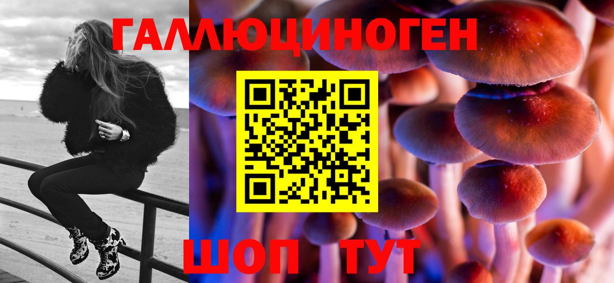 Псилоцибиновые грибы Psilocybe  Вход с VPN  Кингисепп 