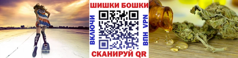 как найти наркотики Кингисепп Бошки марихуана LSD WEED